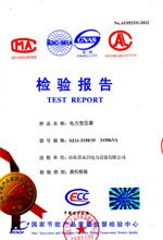 株洲电力变压器检测报告